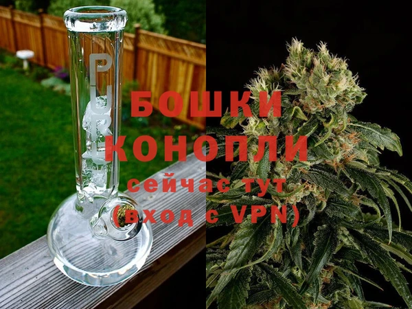 шишки Белокуриха